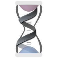 of Aging Consortium biomarkers of aging consortium