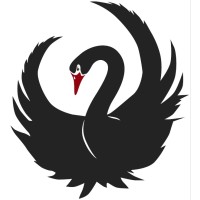 Swans Exist black swans exist