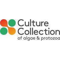 Collection of Algae and Protozoa culture collection algae protozoa