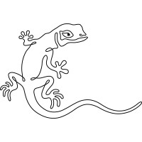 Design lizard design