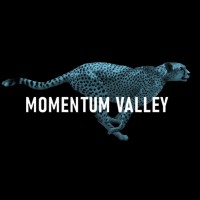 Valley momentum valley