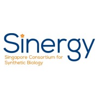 Singapore Consortium for Synthetic Biology sinergy sg