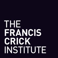Francis Crick Institute the francis crick institute