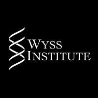 Institute at Harvard University wyssinstitute