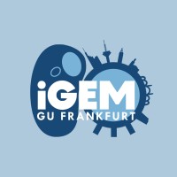GU Frankfurt igem frankfurt