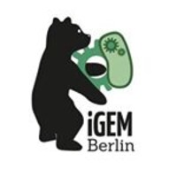 Team HU Berlin igem hu berlin