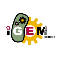 Utrecht igem utrecht